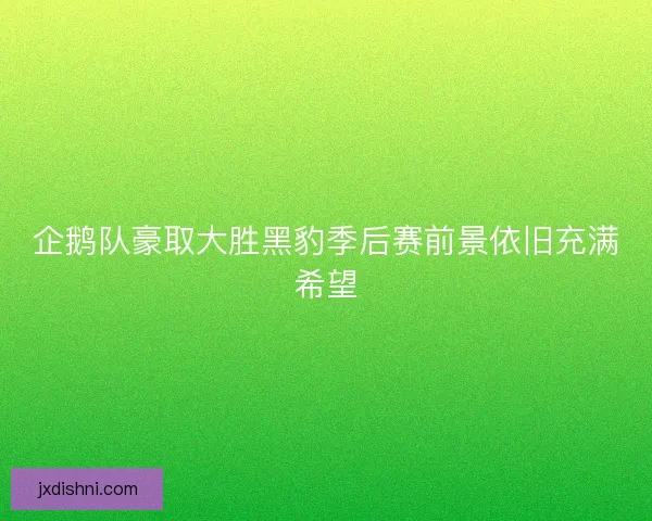 企鹅队豪取大胜黑豹季后赛前景依旧充满希望