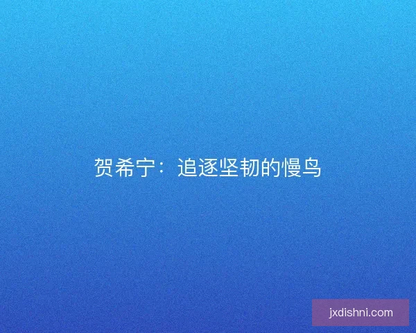 贺希宁:追逐坚韧的慢鸟 贺希宁:追逐坚韧的慢鸟