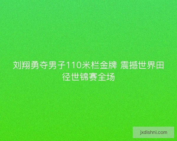 刘翔勇夺男子110米栏金牌 震撼世界田径世锦赛全场 刘翔勇夺男子110米栏金牌 震撼世界田径世锦赛全场