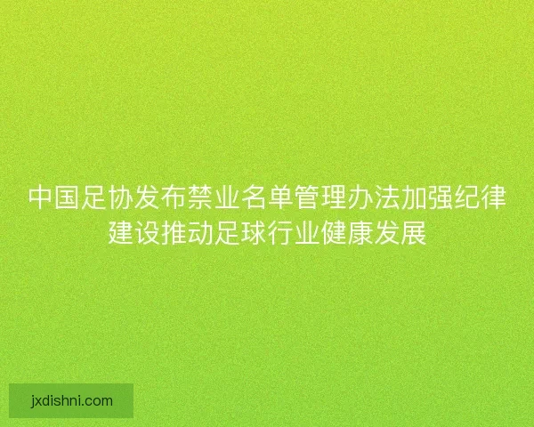 中国足协发布禁业名单管理办法加强纪律建设推动足球行业健康发展